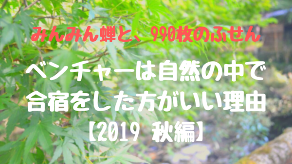 みんみん蝉と、990枚のふせん　ベンチャーは自然の中で合宿をした方がいい理由【2019秋編】